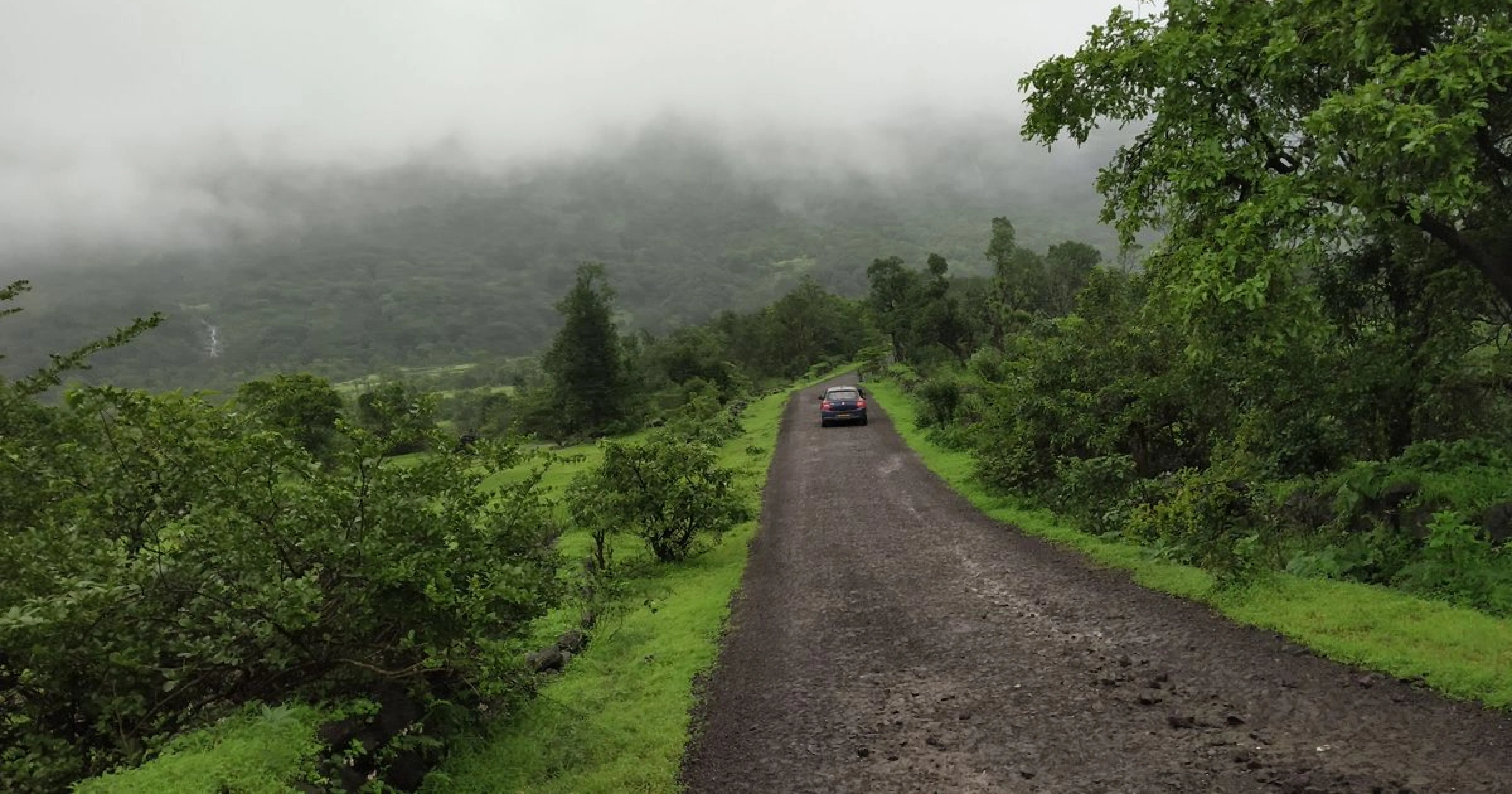 Coorg coffee estate SH88 Kushalnagar Madikeri Bangalore self drive Karnataka Western Ghats