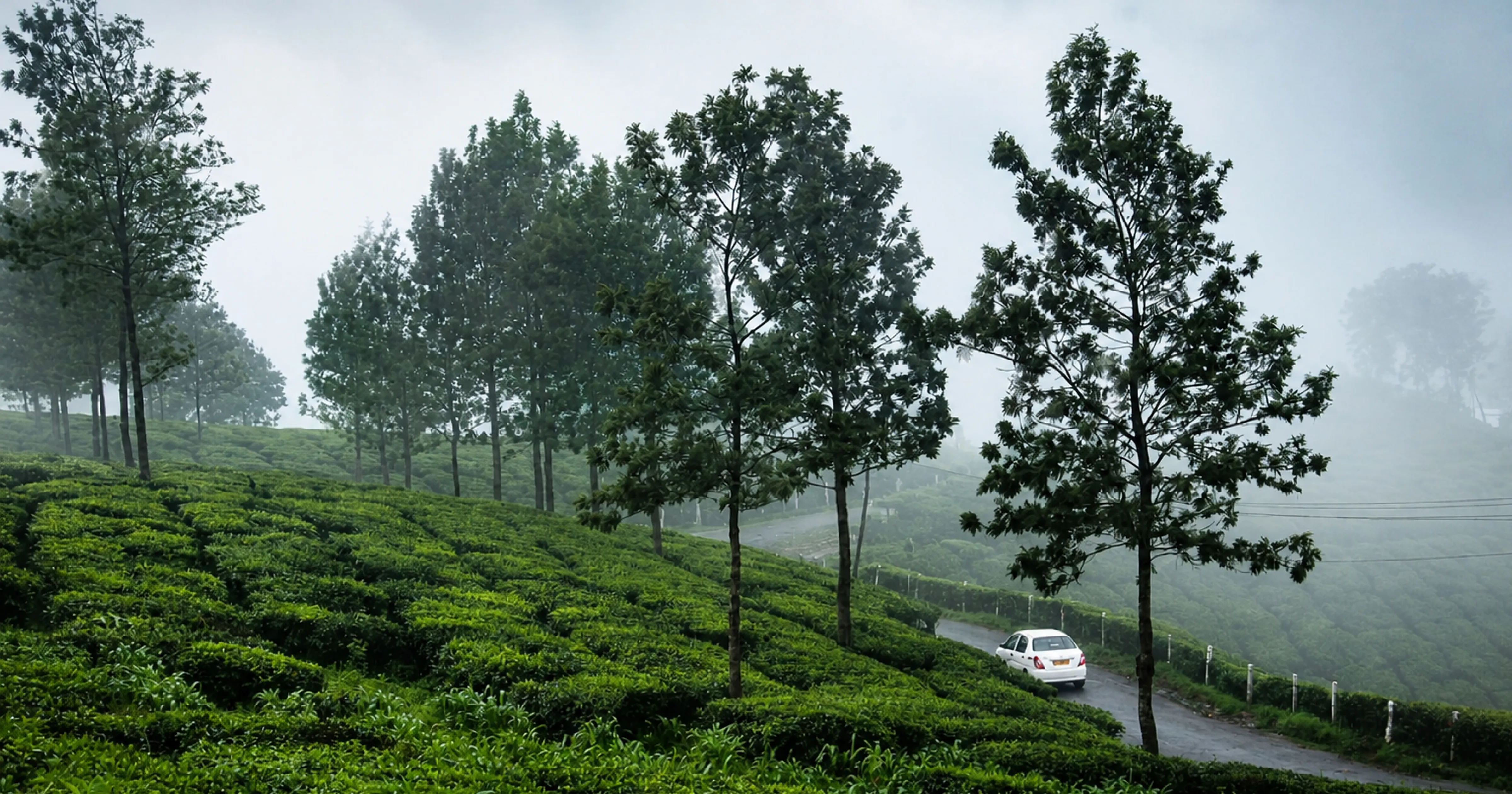 Ooty Nilgiri hills self drive guide from Bangalore and Chennai 2026 MM Miles